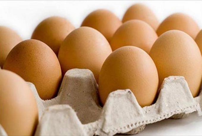 calidad-huevos