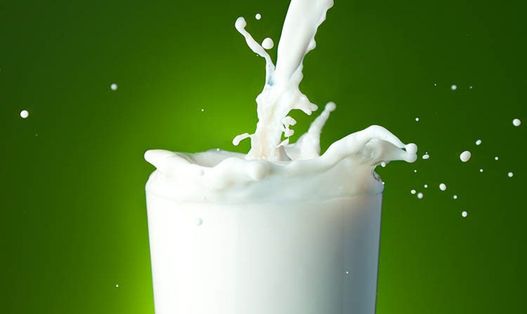 hemisferio Excluir Hablar con Tipos de leche, composición y nutrientes