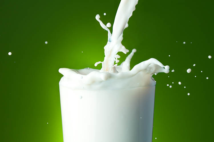 Clasificación Hostal Gama de Tipos de leche, composición y nutrientes
